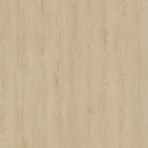 NF34 – Tan Oak