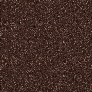R16 – Bronze Disco