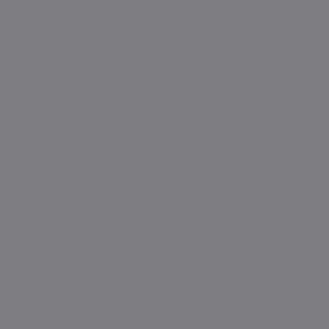 NE79 – Elephant