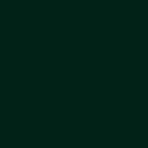 NF13 – Deep Green